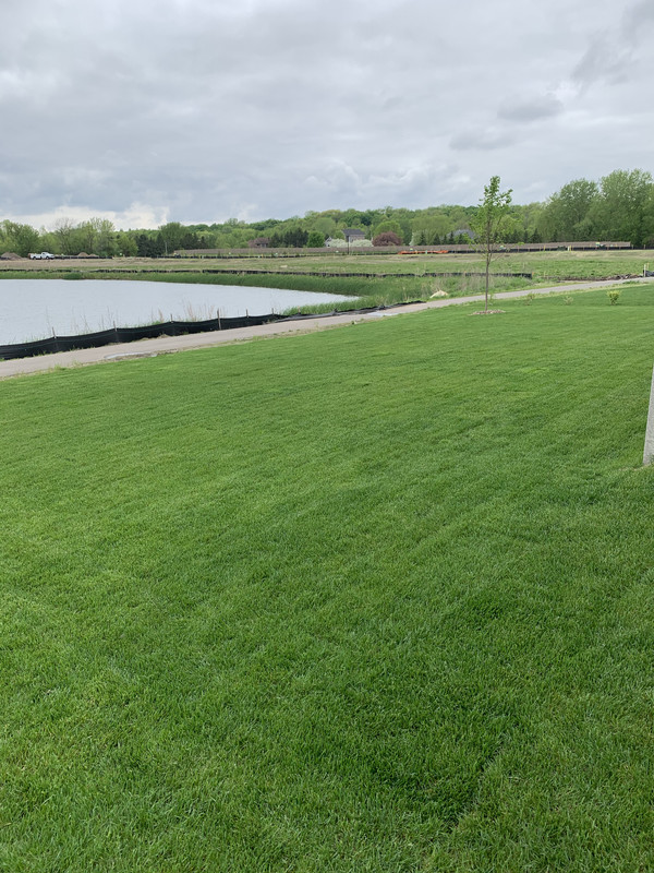 EFFF5F96-6CCD-491D-B457-B9E9CE70CAF6