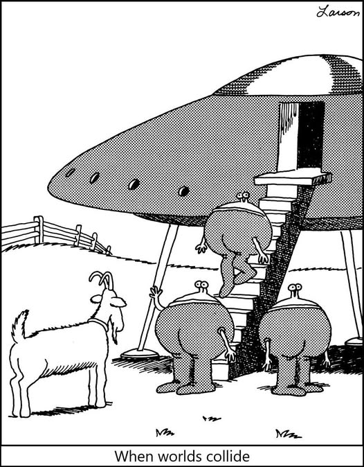 524732648-4108592299426492-2954699647298551823-n