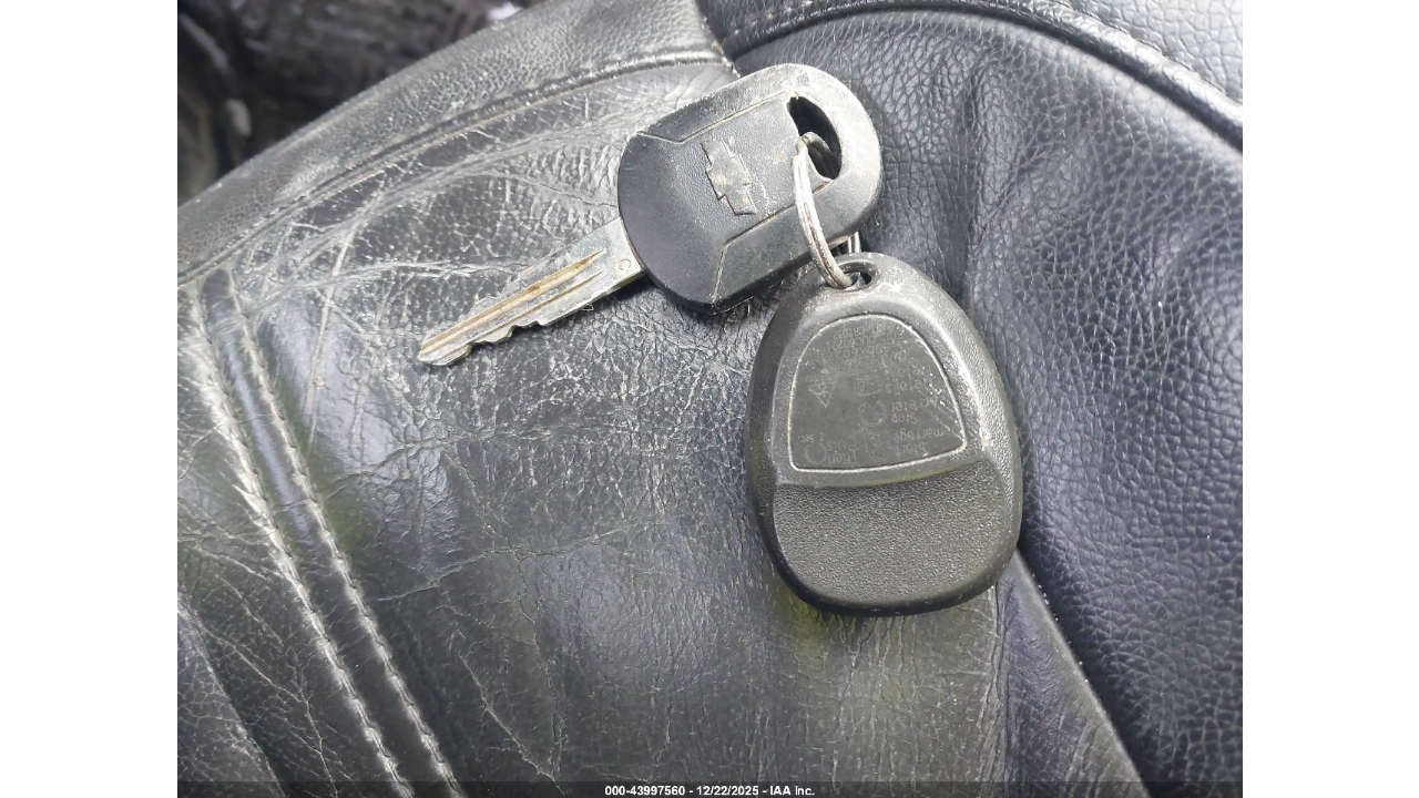 Без названия (10)