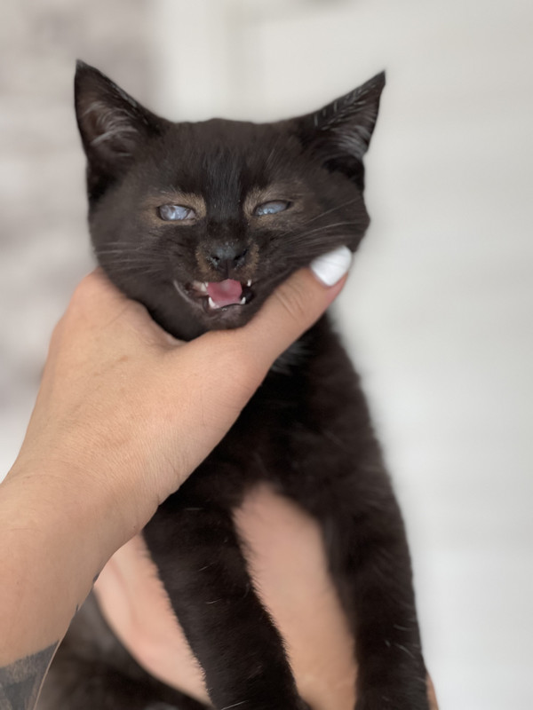 4011F154-F0D0-40AD-ADE7-6726962D5896