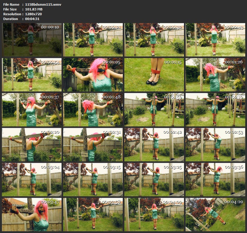 115Bbdsmm115.wmv