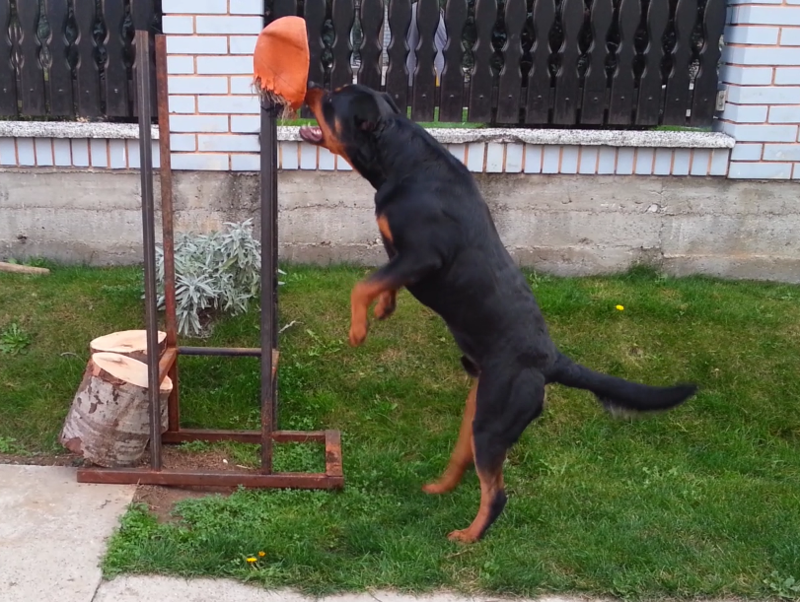 wp_ss_20131103_0001 (1)