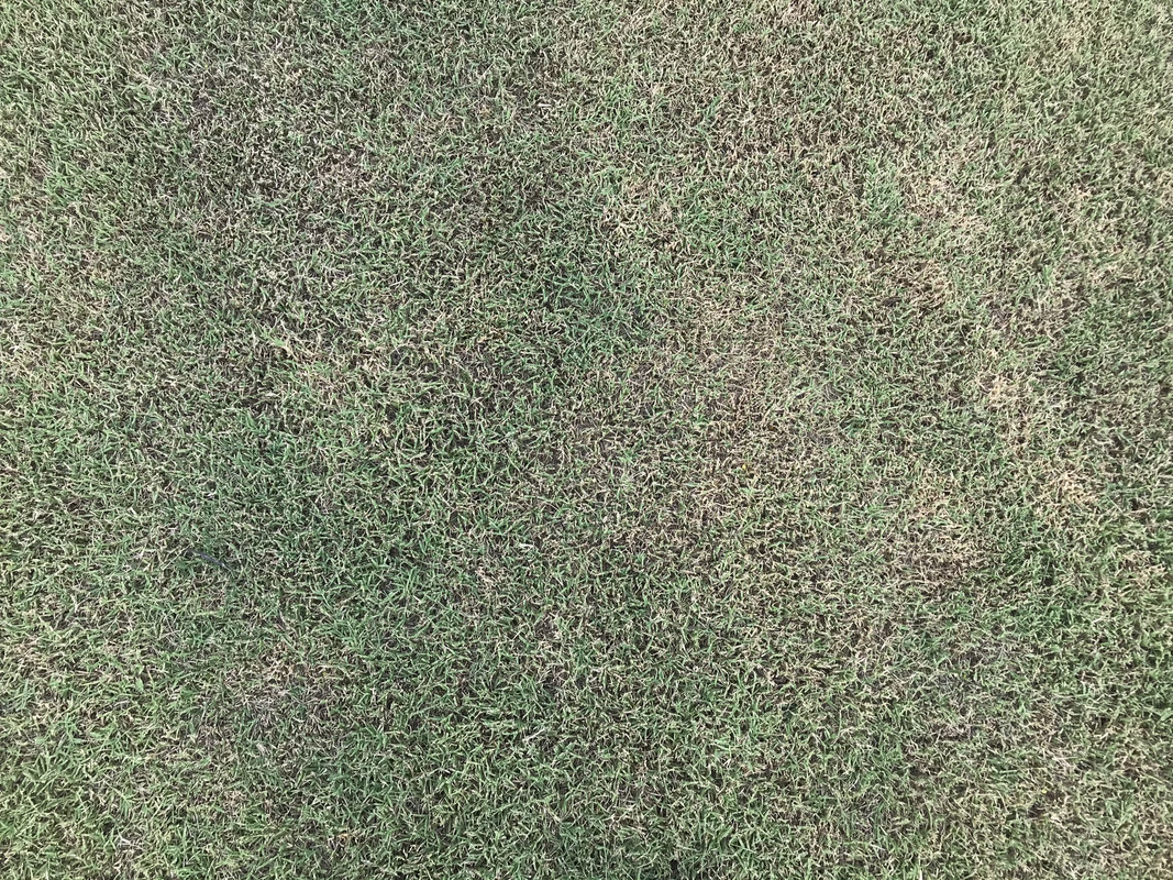 A8203835-BBC8-41A5-A205-1978E3594502