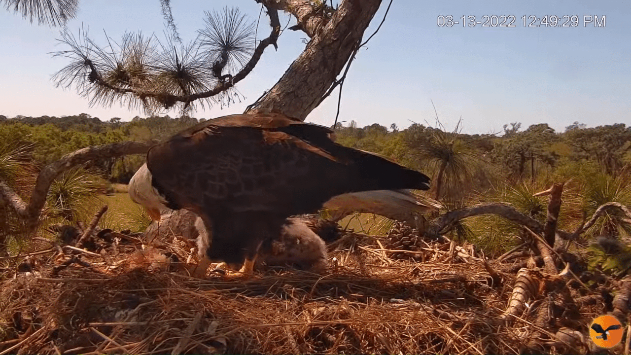 Webp.net-gifmaker (7)