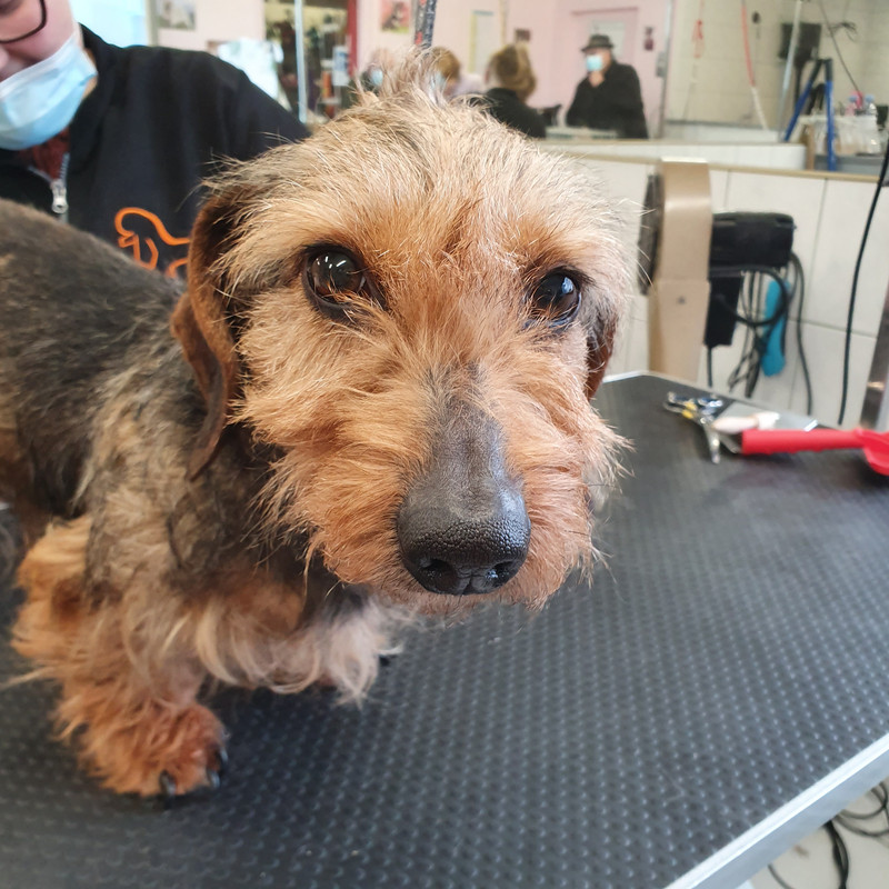 [Image: 20210108-150931.jpg]