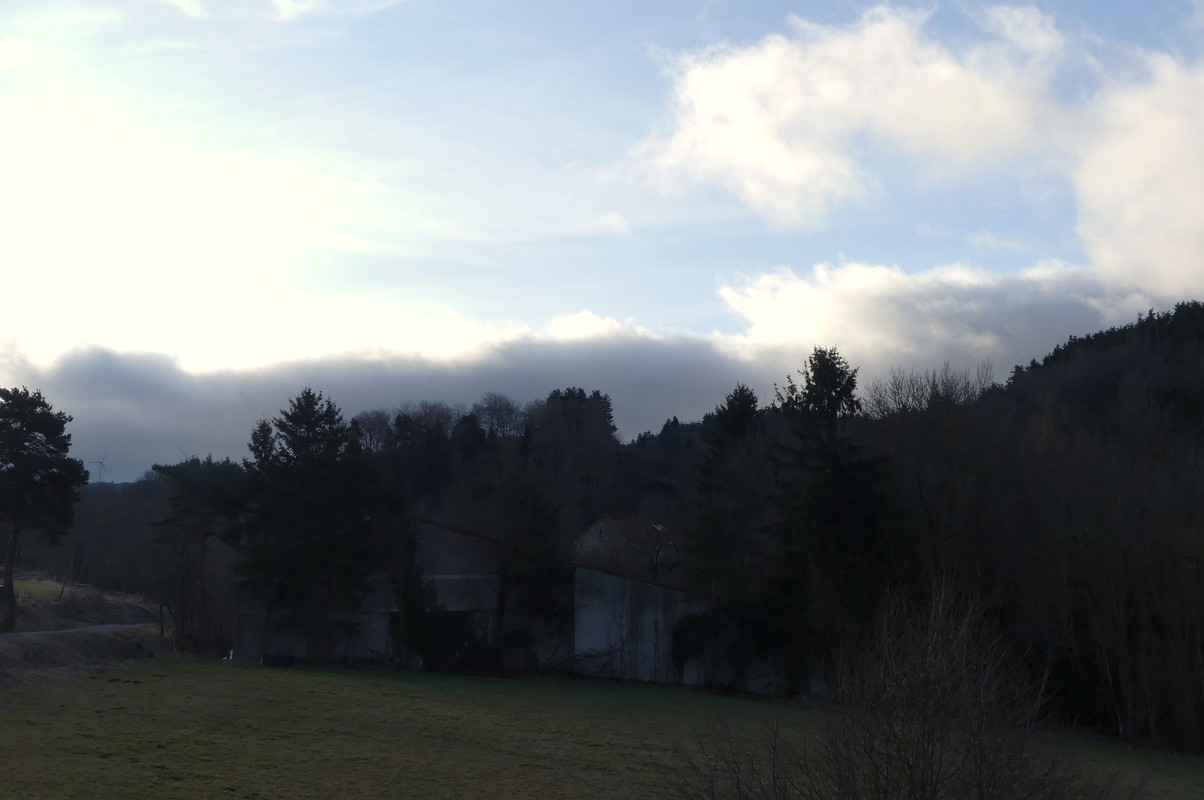 P1100269.jpg