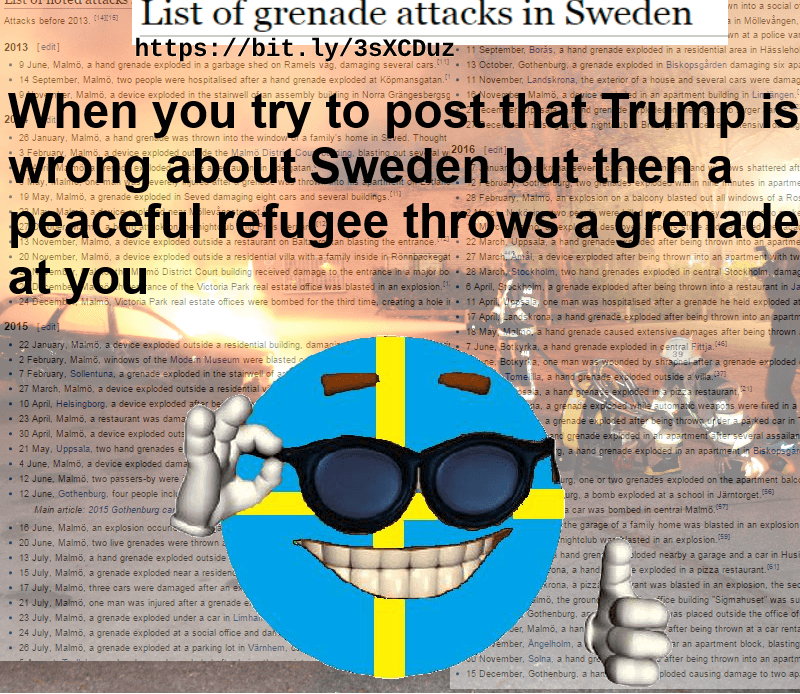 sweden 1601119049135 (tinypng.com)