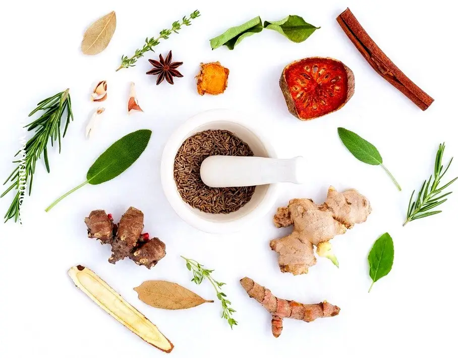 Receta de Jengibre y Canela para una Experiencia Culinaria Única