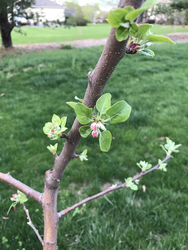 73EEE504-6FB6-458E-8CC1-C3A001C51314