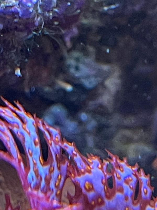 6BB3CB8B-81F1-476D-BAED-2245881BC3C4