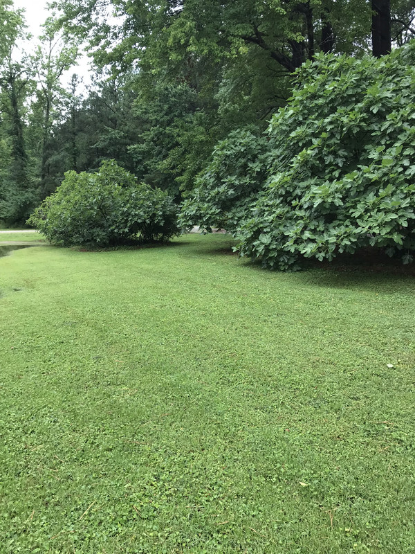 E997ACE0-52CE-4669-BBC2-5138604D8410