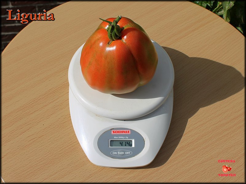 [Bild: Liguria-05082025.jpg]