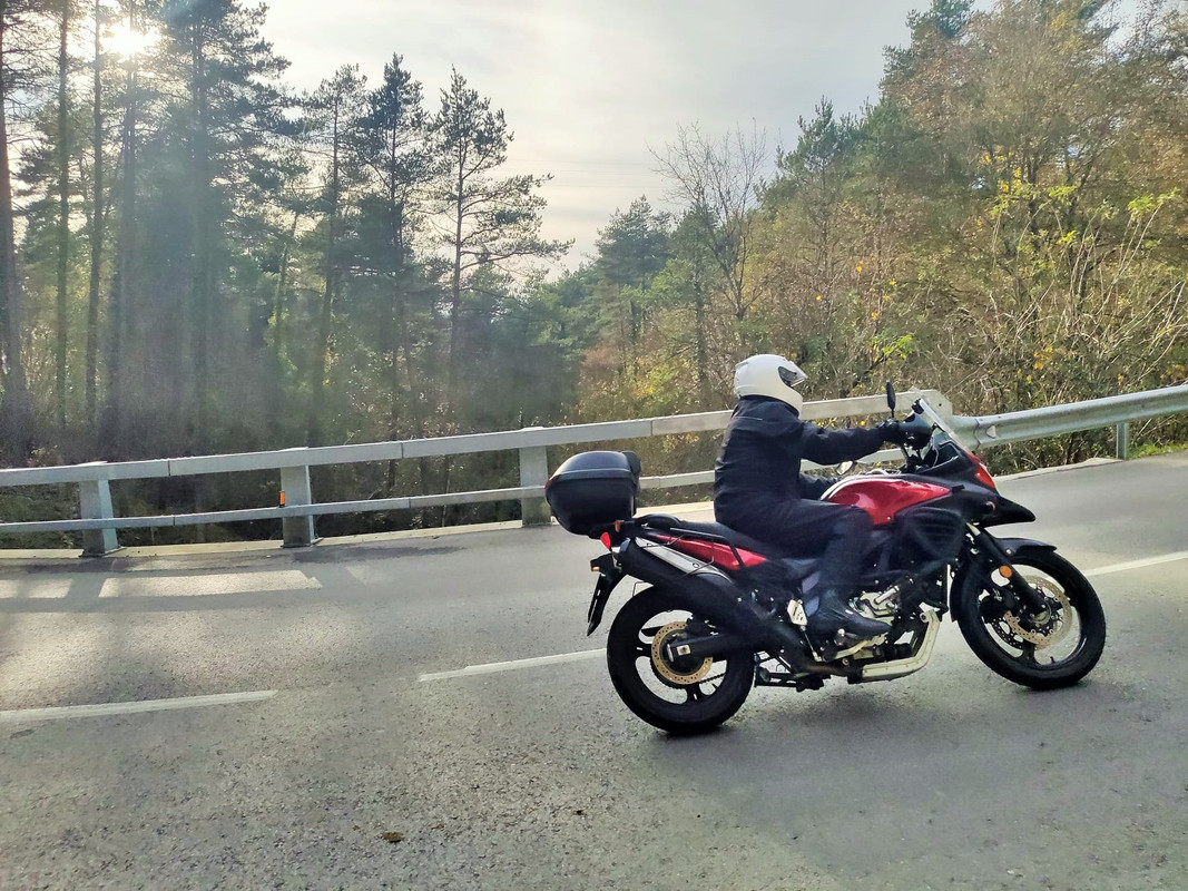 IMG-20201112-WA0015 (2)