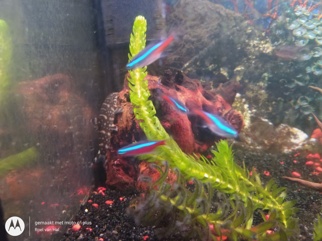 IMG_20201106_222610677