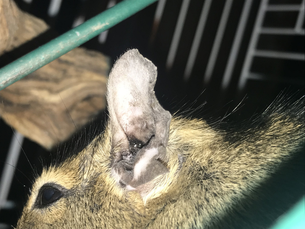 7DF87D18-2513-4B61-B0CA-755F59AEC838