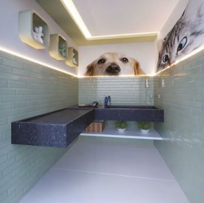 Pet place com pet wash do Casa Boa Viagem