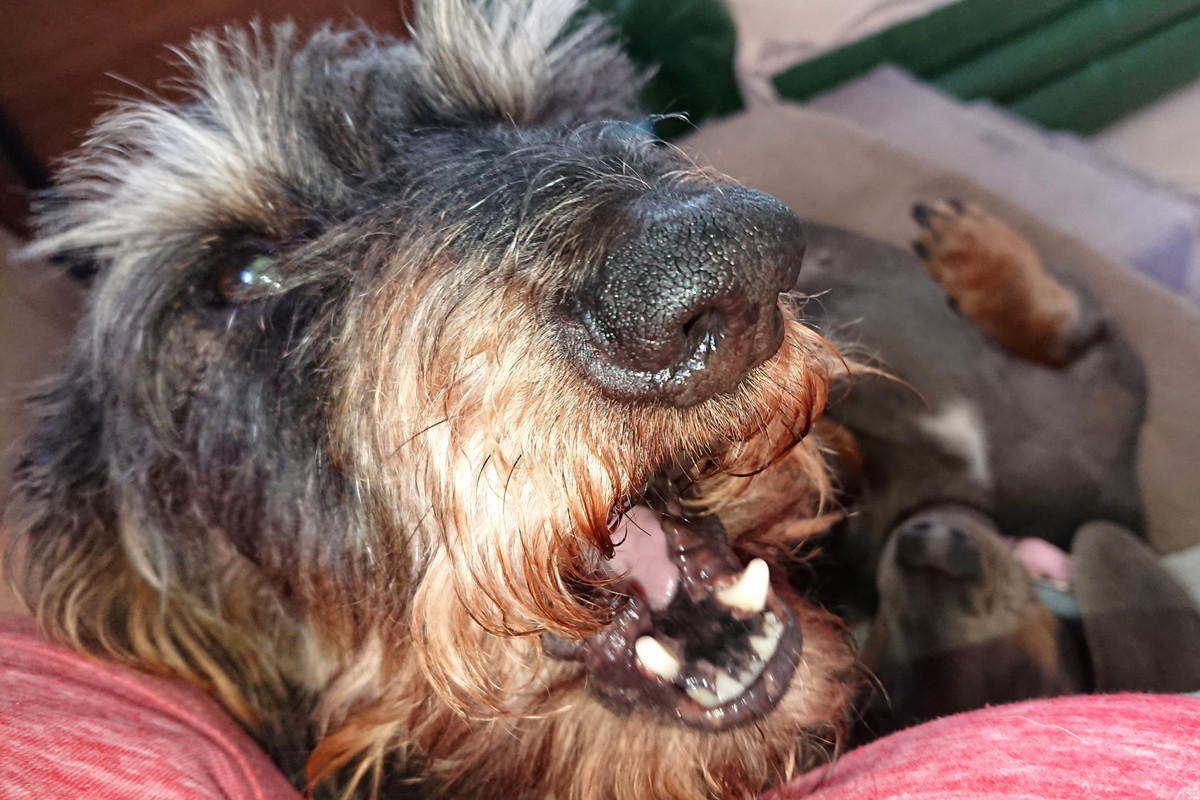 [Image: DSC-3195.jpg]