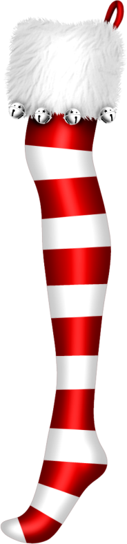 Christmasswishoffairydnstocking