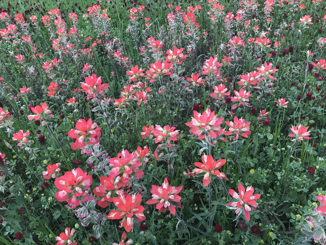 0883FE4D-DD92-46C5-997D-C3ECD5978CE8