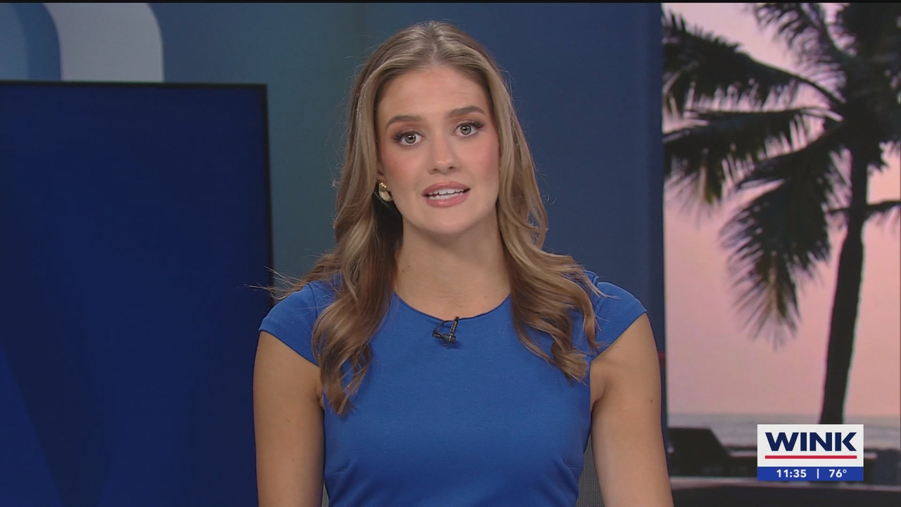 WINK NEWS at 1130am_20250302_16301700.ts_snapshot_06.14.923