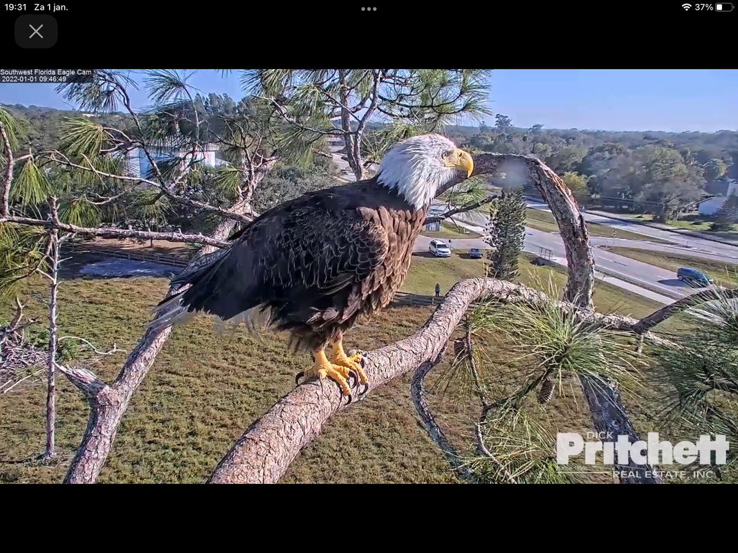 DCF5B31D-AECA-4444-AB49-9BE04B4FED63