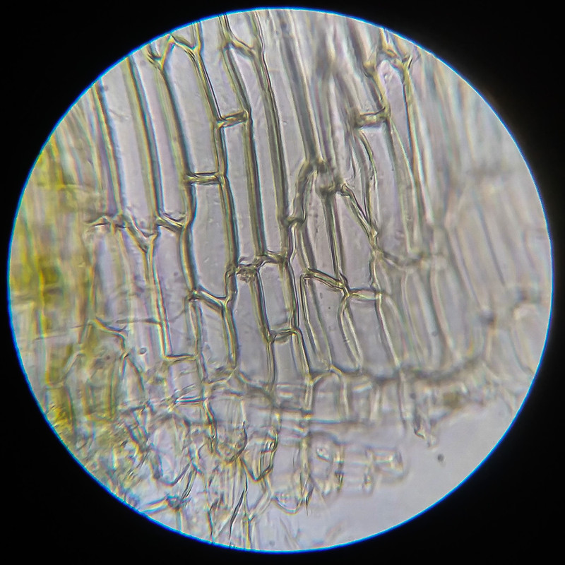 IMG 20250614 124455 HDR