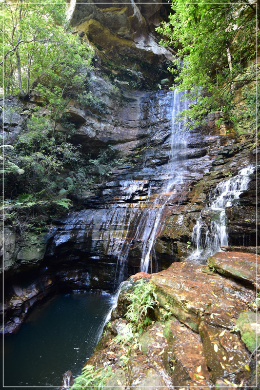 Blue Mountains - Australia (I): toma de contacto (11)