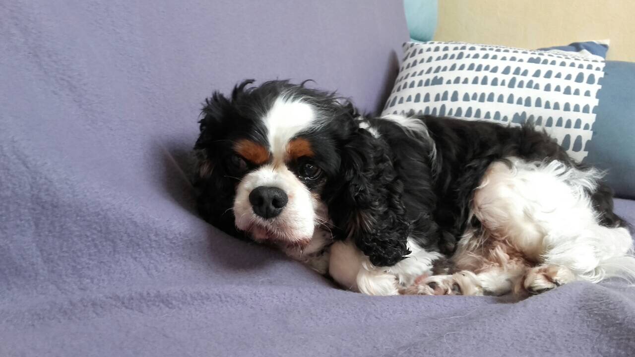 D121DCAE-20B3-4813-9C74-4A6B45F1EB89