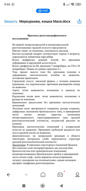 WhatsApp Image 2025-06-11 at 13.40.00