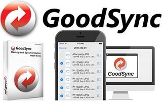 GoodSync Enterprise 10.9.26.3 Multilingual