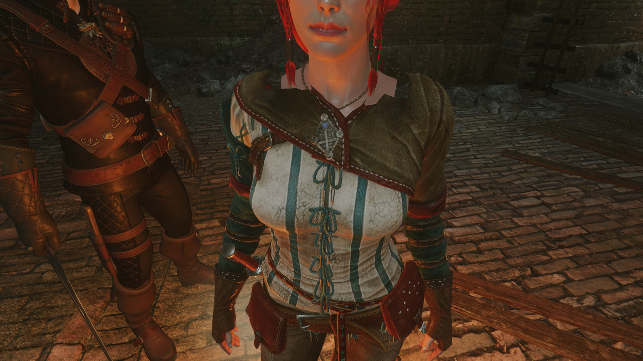 Hood Removal for Main Characters at The Witcher 3 Nexus Mods and
