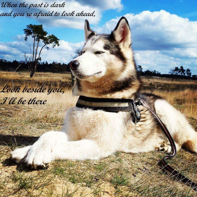 FB_IMG_1510882936102