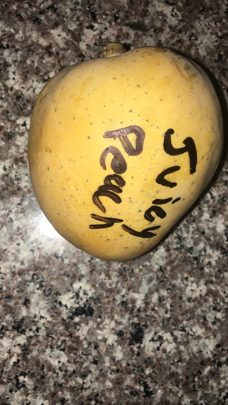 B3159E11-D351-4452-A671-E7C3BB8FBF12