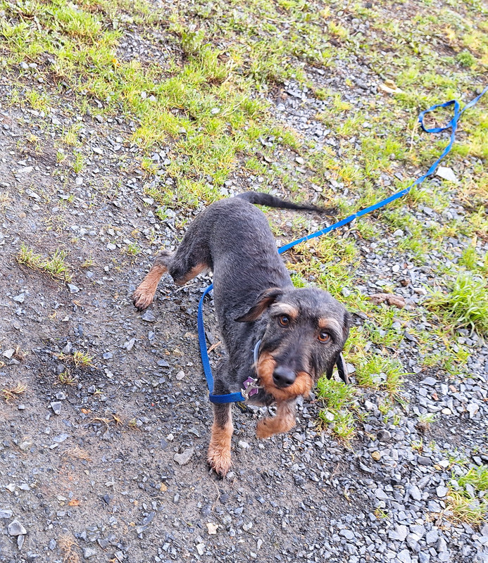 [Image: 20240127-104725.jpg]