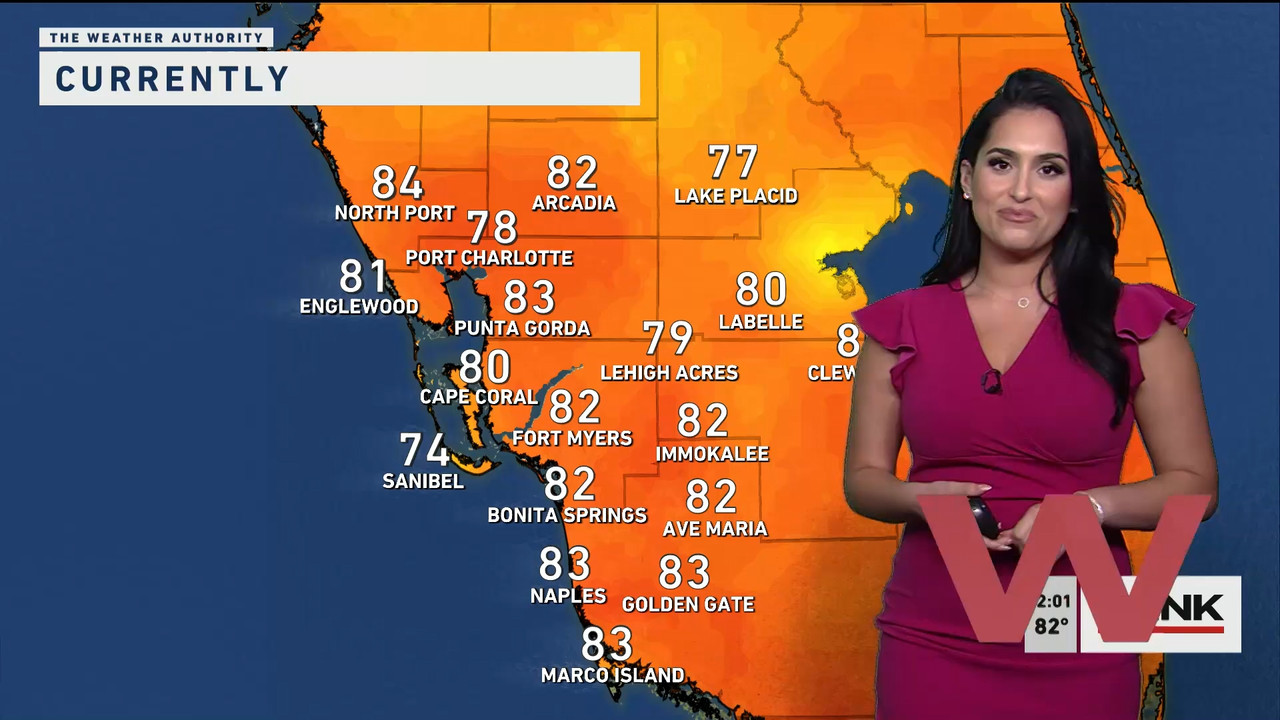 01.02 - 17.00.00 - The WINK Noon News  ᴺᵉʷ. Midday news update..ts_snapshot_08.18.329