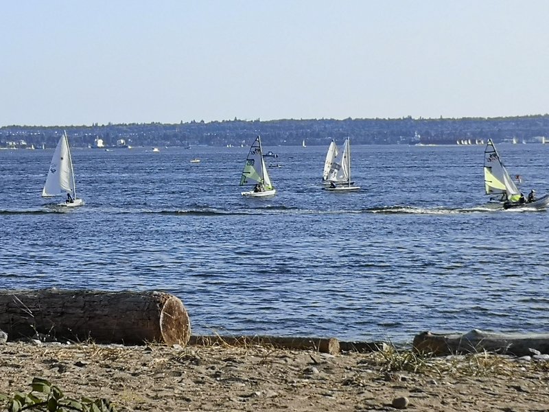 [Image: IMG-20210729-180008-resized-20210729-073939838.jpg]