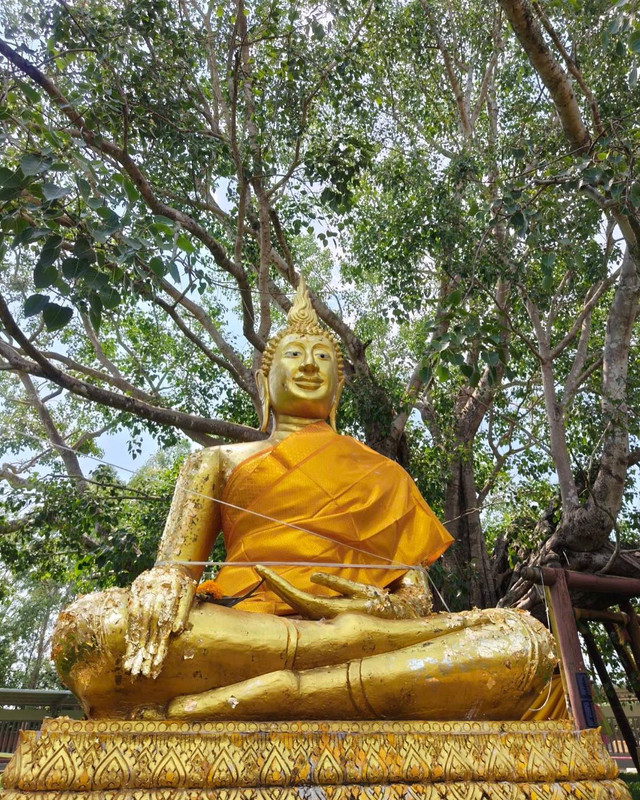 vikkiiexplorer-1713964740-3353301744024740303-54255420614