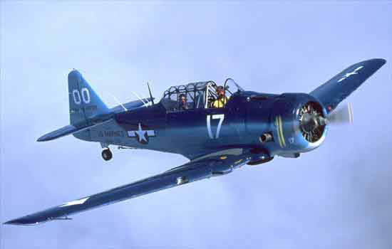 ar-warbird2.jpg