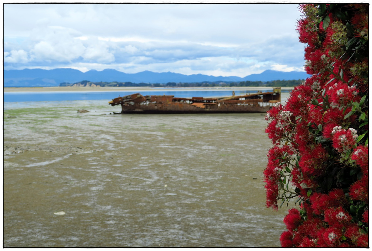 Golden Bay (Navidad 2020, II) - Escapadas y rutas por la Nueva Zelanda menos conocida (2)