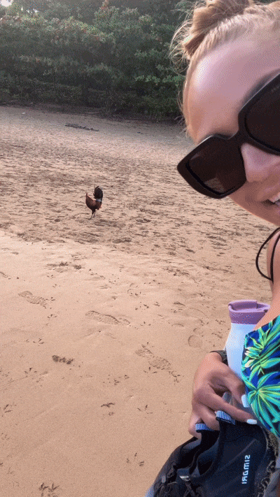 ezgif-4cb757a6ea2407.gif
