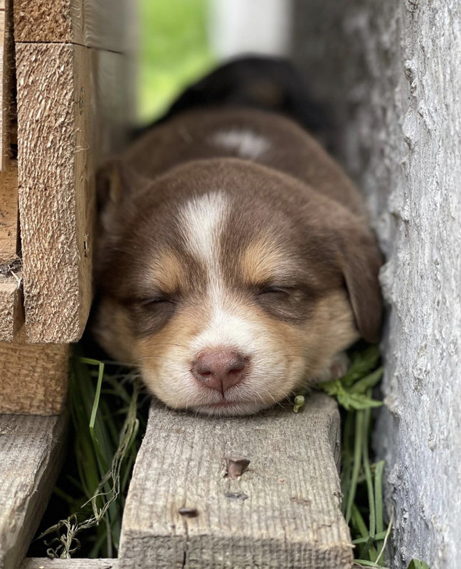 48B0DE7D-158F-4383-8B89-3C82E1EA20A9