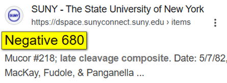 Minus-680.png