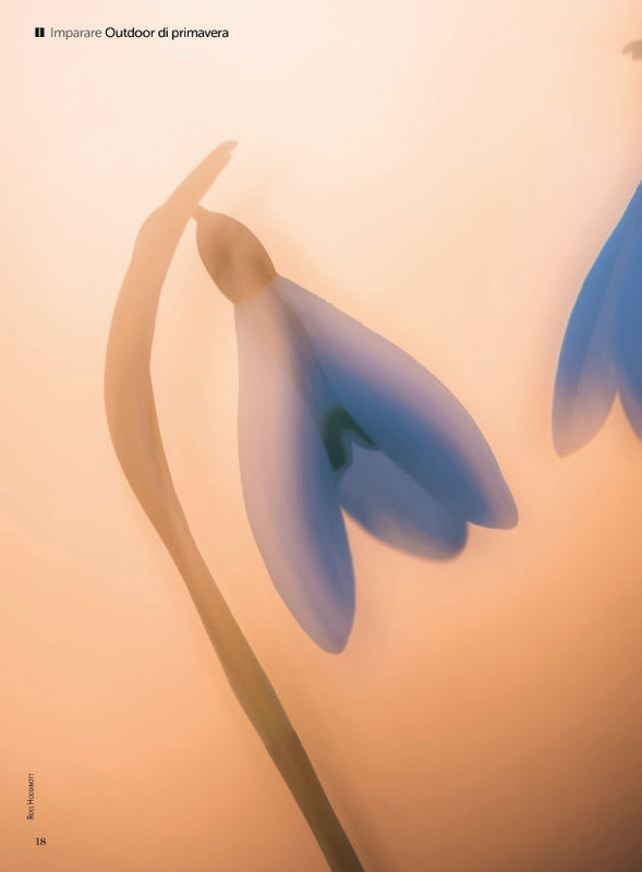 N Phot - Mag-Giu 2024 (3)