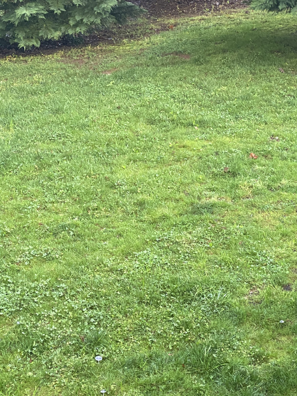 B12B37D2-0820-498F-B3B1-9D0DF06D5C36