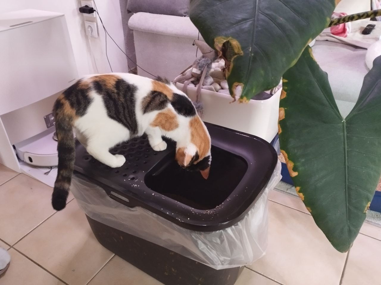 photo 2026 02 06 17 31 46