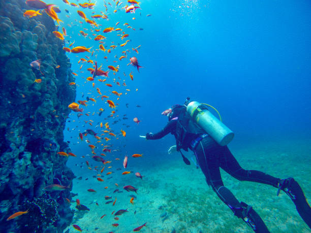 Dive School on Koh Tao