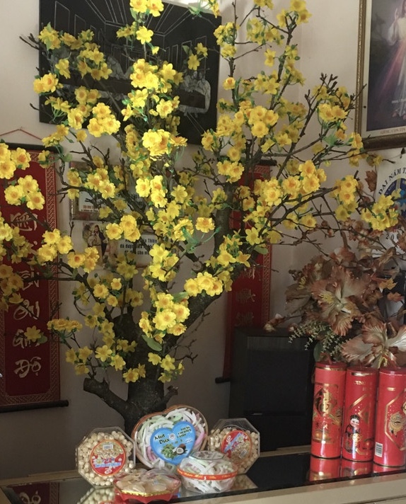 [Image: CE22-E4-FE-E05-C-4624-8235-0039-DEB2-C9-C0.jpg]