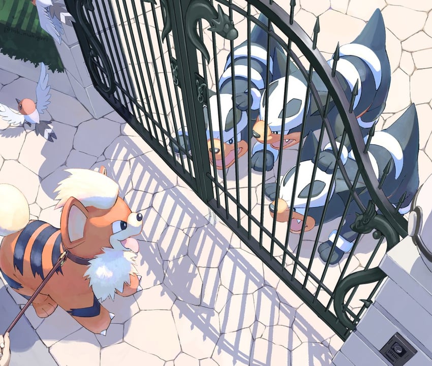 growlithe-dratini-fletchling-and-houndou