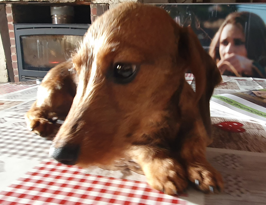 [Image: 20210212-151515.jpg]