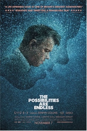 The Possibilities Are Endless 2014 1080p WEBRip x264-[LAMA]
